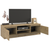 RTV Malwa 120 ARTISAN